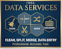 fix, clean, structure your excel or CSV data professionally