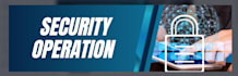 design a professional security plan, checklist or sop for your business