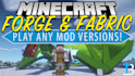 develop a professional forge or fabric mod for minecraft