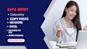 do your data entry, data mining, copy paste, web res,