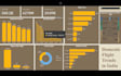 data analyst on your datasets