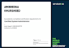 provide servicenow development and admin services