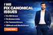 fix 404, 301, broken links, gsc errors ,indexing and canonical issues