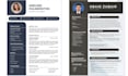 provide professional ats resume, CV writing service