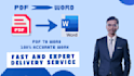 provide professional PDF to word conversion