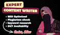 write SEO optimized articles and blog posts