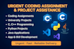 script python fyp projects, coding assignments, java programming