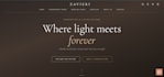develop web frontend projects