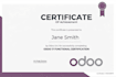 build odoo app, design redesign odoo website, odoo invoice odoo erp setup