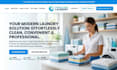 build laundry website handyman website cleaning website home laundry service