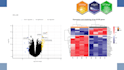 analyze and perform differential gene expression analysis