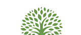 design a custom tree logo
