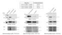 analyze biological and scientific data using python