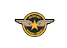create wonderful and excellent military logo design