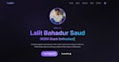 build a fully responsive and professional website