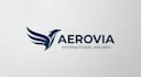 design a modern and professional airline logo