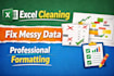 clean, format and organize excel data