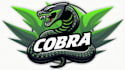 create beautiful snack cobra logo in my style