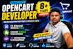 fix opencart issues and develop custom module with API integration