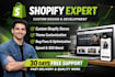 design, develop, fix, and customize your shopify store