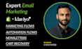 design and setup email template for ecommerce shopify store