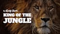 create and edit animal documentry video