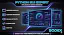 develop a professional python desktop application with a modern neon gui