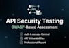 test your API security using owasp standards