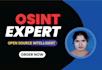 be your private osint investigator and background checker