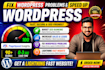 speed up wordpress fix problems and improve pagespeed insights