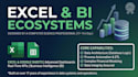 build professional excel dashboards and scalable data architectures