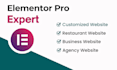 design or redesign your wordpress website using elementor pro