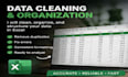 provide data analytics insights and business reports