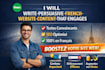 write persuasive french website content that engages