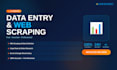 do data entry, web scraping and excel data collection