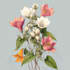 do a botanical illustration