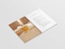 design a professional brochure for your brand