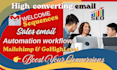 do high convince welcome email sequence for gohighlevel mailchimp
