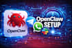 install and setup openclaw ai automation professionally