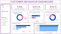 a professional power bi dashboard and data visualization