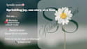 design birthday, wedding cards