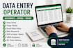 professional data entry, copy paste, excel and typing work