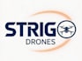 do make an excellent strigo drones logo