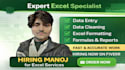 do excel data entry, formatting, cleaning and basic reports
