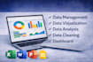 do data visualization and data management by excel