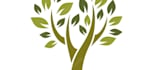 design top quality wonderful tree service logo