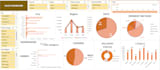 design professional excel dashboards, charts