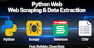 do python web scraping, data extraction, and automation
