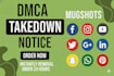 remove infringing defaming leaked copyright harassing harmful negative dmca post