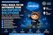 develop and customize salesforce solutions